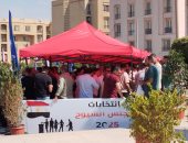 انتخابات مجلس الشيوخ