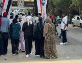 انتخابات مجلس الشيوخ