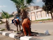 رفع كفاءة المسطحات الخضراء في الإسماعيلية 
