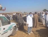 تحصين 32240 رأس ماشية وأغنام من الحيوانات ضد الأمراض الوبائية بالأقصر.. صور