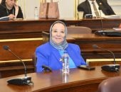 نائبة: الدولة المصرية تقف شامخة بفضل الله ثم بجهود الرئيس السيسي ورؤيته