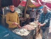 البلطى بـ80 جنيها.. انخفاض أسعار الأسماك بأسواق دمياط