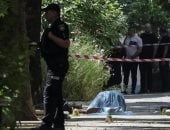 عامل توصيل أطلق النار عليه.. تفاصيل مقتل رئيس برلمان أوكرانيا السابق