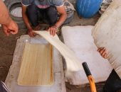 قرية طوخ القراموص.. موطن صناعة البردي في الشرقية (صور)