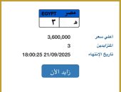 "هـ - 3" أغلى لوحة سيارة مميزة مطروحة بالمزاد قيمتها تصل 3.6 مليون جنيه
