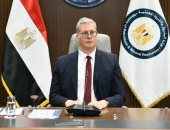 وزير البترول كريم بدوي