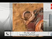 الأزمة السودانية