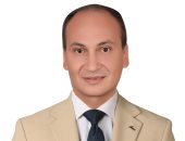 الشاعر عزت إبراهيم