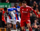 ليفربول الانجليزي 