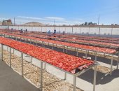 مجمع الصناعات الغذائية