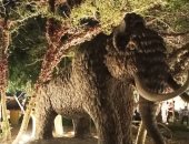 تشغيل تجريبى لحديقة الديناصورات بأنطونيادس بالإسكندرية على مساحة 16 ألف متر.. صور