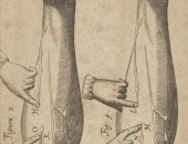 كتاب ويليام هارفي