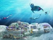 شعاب مرجانية