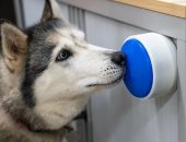 زر يُتيح لحيوانك الأليف تشغيل الغلاية