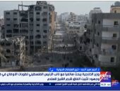  مداخلة الدكتور أحمد سيد أحمد خبير العلاقات الدولية