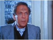 حسين الشربينى