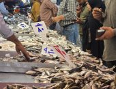 أسعار الأسماك بأسواق مطروح اليوم الخميس 11-12-2025.. التونة بـ180 جنيه