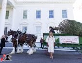 ميلانيا ترامب 