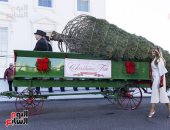 ميلانيا تستقبل شجرة عيد الميلاد الرسمية للبيت الأبيض