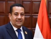 النائب ناصر الضوى 