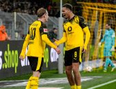 بوروسيا دورتموند يحتفل بالفوز على هوفنهايم