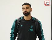 جانب من التغطية 