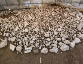 مقبرة قديمة عمرها 2600 عام فى سويسرا