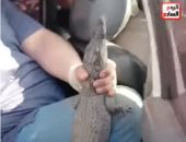 تغطية خاصة لتليفزيون اليوم السابع 