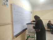 اللجان الانتخابية