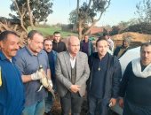 تمساح الزوامل