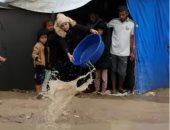وفيـات وانهيـار 10 منازل وغرق للمخيمات.. الأمطار تفاقم الأوضاع فى غـزة