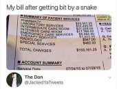 فاتورة لدغة ثعبان فى أمريكا