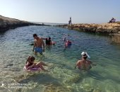 رحلات وادي الجمال تتصدر المشهد السياحي بمرسى علم في احتفالات رأس السنة