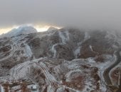 ثلوج السعودية