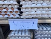 أسعار الألبان والبيض فى أسواق سوهاج اليوم.. كرتونة بيض بـ 110 جنيهات
