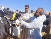 قافلة بيطرية 