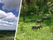 منتزه نيوكولو وتسوديلو