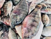 أسواق الأسماك