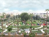 جامعة المنصورة 