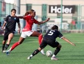 دوري الكرة النسائية