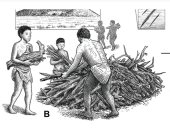 رسم توضيحى لتمثيل عملية حرق الجثث