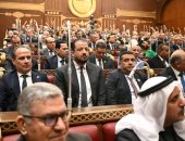 النائب أسامة مدكور عضو لجنة الإسكان والإدارة المحلية والنقل بمجلس الشيوخ