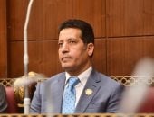 النائب هشام الحسيني ربيع، عضو مجلس الشيوخ