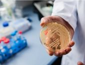 فطر الكانديدا أوريس المقاوم للعلاج