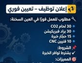 وظائف فى العين السخنة