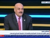 رئيس قطاع الإحصاءات السكانية والتعدادات بالجهاز المركزي للتعبئة العامة والإحصاء