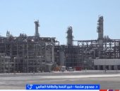 الدكتور ممدوح سلامة