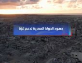 جهود مصر لدعم غزة