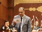 النائب فتحي دسوقي، عضو مجلس الشيوخ