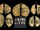 رؤوس سهام عمرها 60 ألف عام 